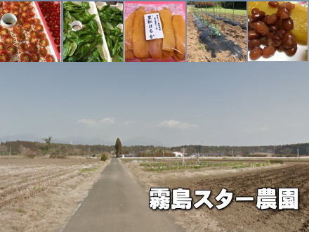 霧島スター農園 霧島スター農園